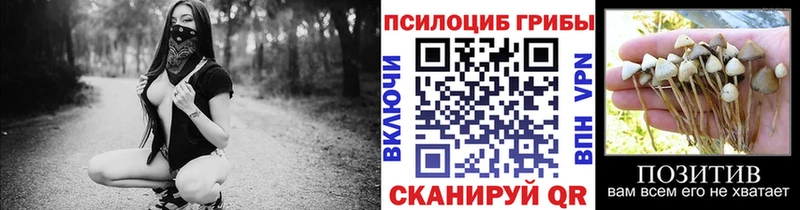 Галлюциногенные грибы MAGIC MUSHROOMS Колпашево