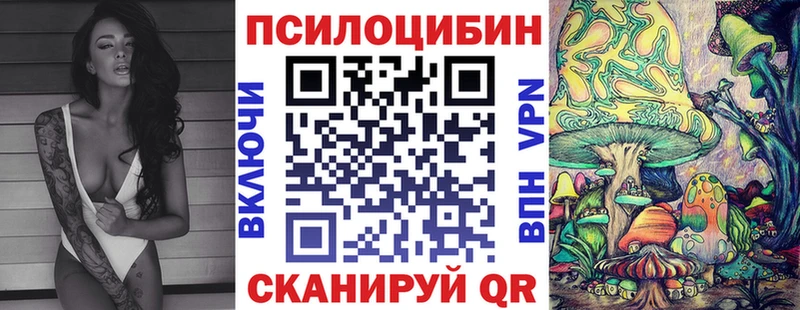 Псилоцибиновые грибы Psilocybe  Купить закладки  Колпашево 